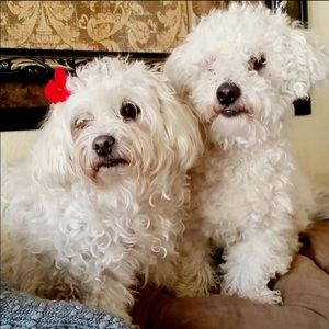 Meet your Posher, Larissa